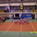 fest 36